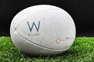 ball, rugby, field, nature, grass, rugby ball, sport, play, rugby union